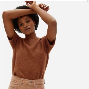Everlane Alpaca Sweater Tee